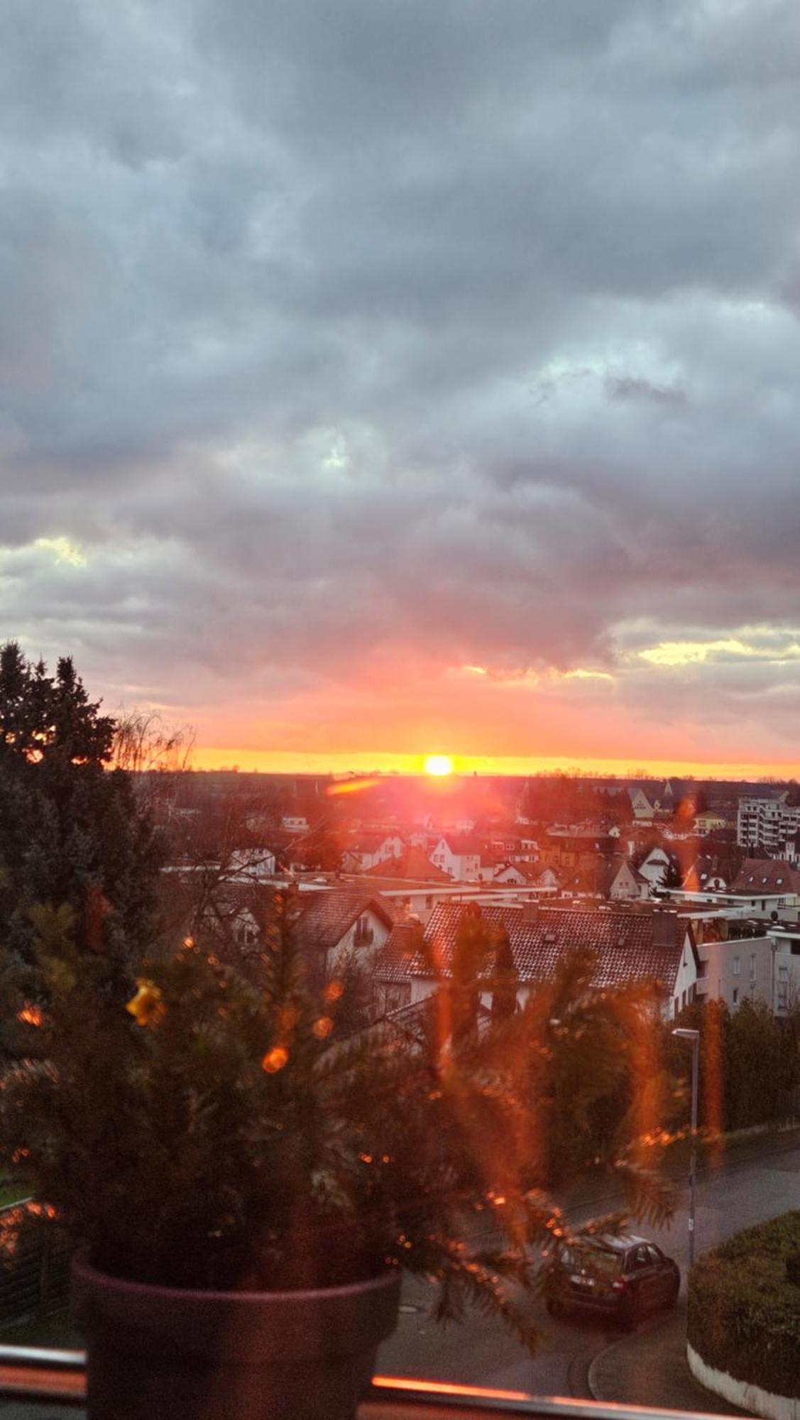 Appartement An Der Weinstrasse Bad Bergzabern Esterno foto